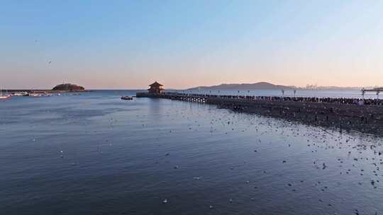 冬季青岛栈桥景区日落 黄昏