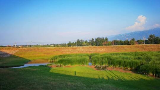 4K高清实拍罗纹河湿地芦苇湖泊风景