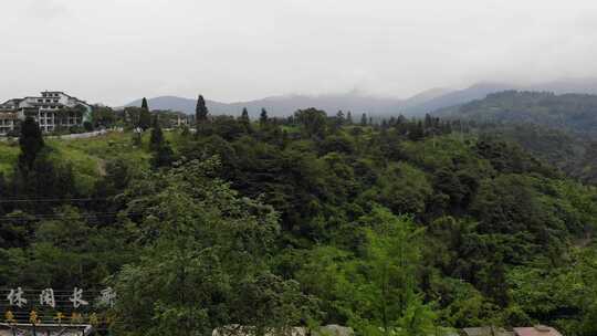 峨眉山 七里坪 公园 森林 青山绿水