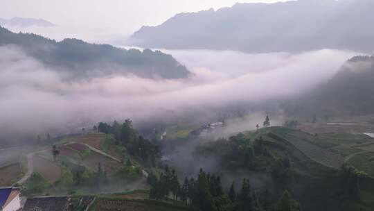 农村的早晨云雾缭绕