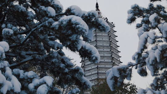 辽宁沈阳冬季古建筑舍利塔公园雪景风景