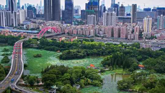 深圳罗湖区水贝片区洪湖公园航拍宣传片