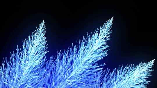 蓝色粒子线条树枝光纤羽毛合集视频素材模板下载