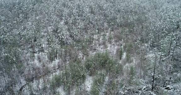 航拍大兴安岭春季降雪山林雾凇