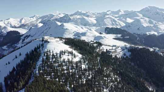 滑雪胜地，雪，山，森林