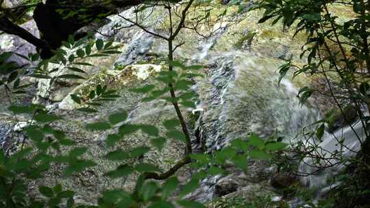 森林流水大自然小溪水瀑布山涧水源泉水山水