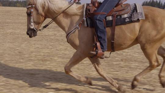 人骑马的低角度拍摄视频素材模板下载
