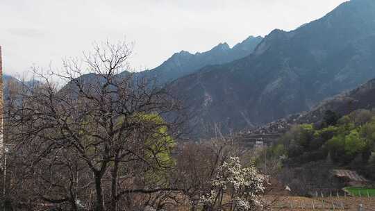 丹巴山间的建筑藏寨碉楼