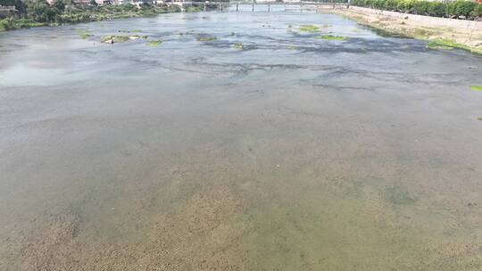 航拍飞鸟水面生态鸟儿跟拍鸟飞江面溪流河面