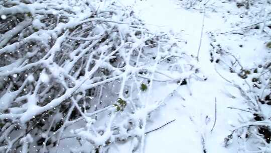 冬天   下雪  雪景视频素材模板下载