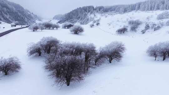 重庆武隆仙女山雪景