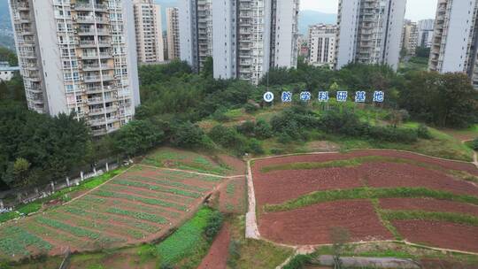 三农大田主题航拍素材：绿色农田种植基地