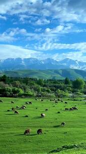 自然风景，治愈系风景，唯美意境，人间仙境