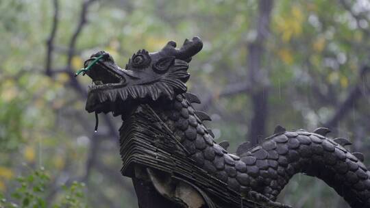 下雨清新空镜唯美雨景合集素材视频素材模板下载