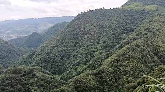 踏上森林大自然的征程领略山峰的神秘魅力