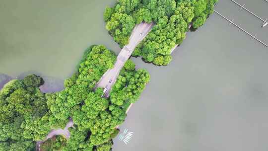 中国杭州西湖风景名胜区杨公堤