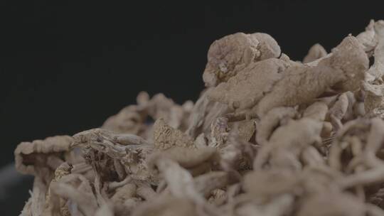 干滑子蘑干蘑菇LOG视频素材视频素材模板下载