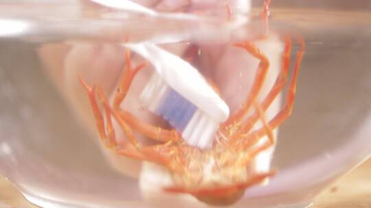 牙刷清洗刷洗小龙虾视频素材模板下载