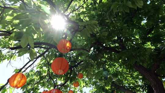 夏天绿色唯美小清新树木树叶逆光小桥流水