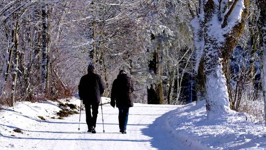 冬天雪中户外散步的老年夫妻