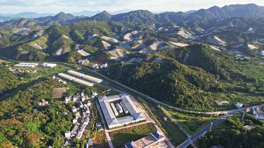 江西赣州赣南寻乌县脐橙种植基地航拍