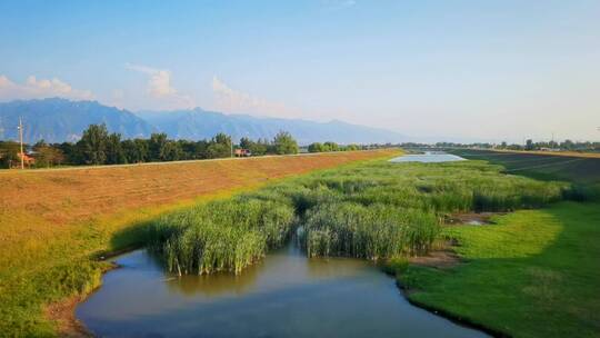 4K罗纹河湿地公园芦苇荡湖泊风景