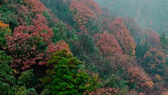 五彩斑斓的高山