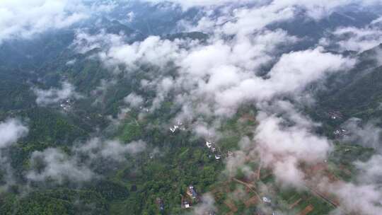 大雾清晨云雾大山云海森林自然云山脉山区