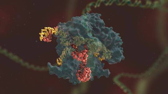 生物科学 基因编辑 DNA 基因工程 医学动画