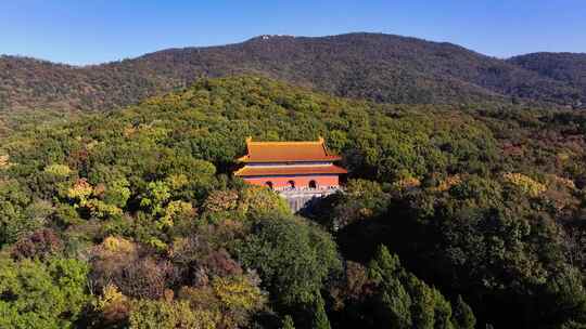 南京秋天 明孝陵 紫金山 钟山风景区