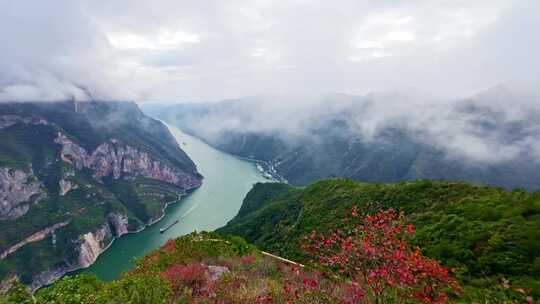 三峡红叶