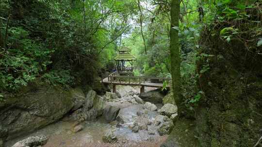 成都青城山后山峡谷森林步道溪流自然景观