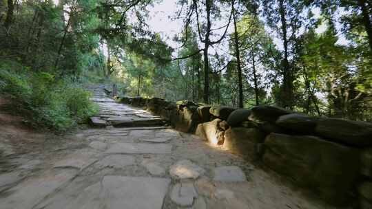 蜀道森林步道