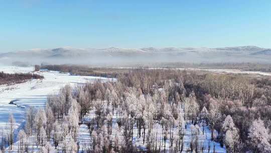 航拍冬季雾中林海雾凇视频251202-23