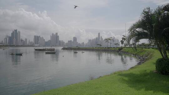 城市公园河流海岸线湖泊风景