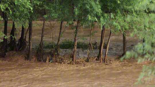 【合集】暴雨后洪水 山洪  泥石流