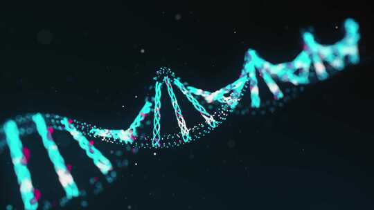 DNA 螺旋 染色体 基因