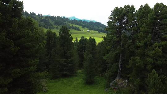 4K树林森林草原山脉山地房屋丘陵湖泊