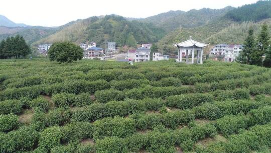 开化乡村美景