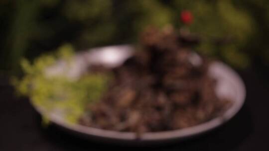 【镜头合集】榛蘑小鸡炖蘑菇东北特产视频素材模板下载