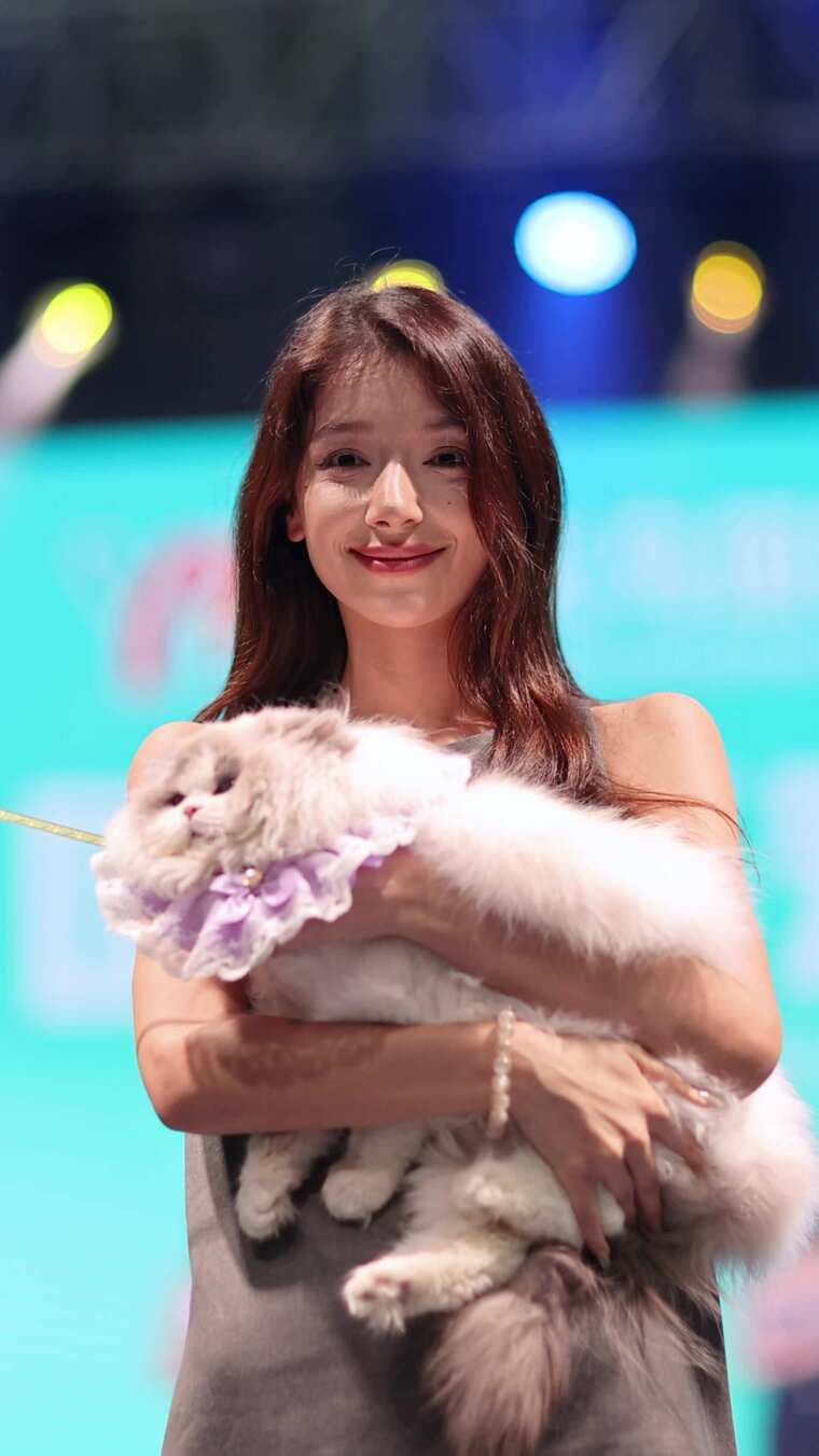 美女模特与宠物狗宠物猫 十组镜头