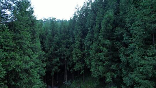 山林上升盘山公路