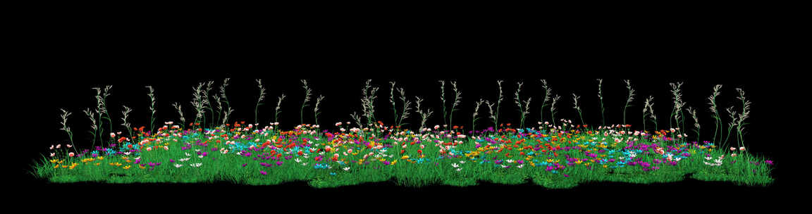 花丛草丛草地景观循环动画