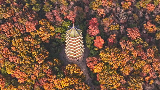 南京钟山风景区灵谷寺秋景