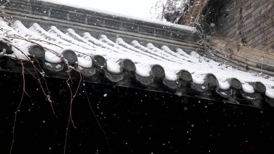 古建园林飘落的雪花