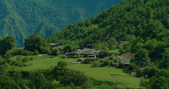 最美乡村秋那桶/田园/red电影机UP镜头