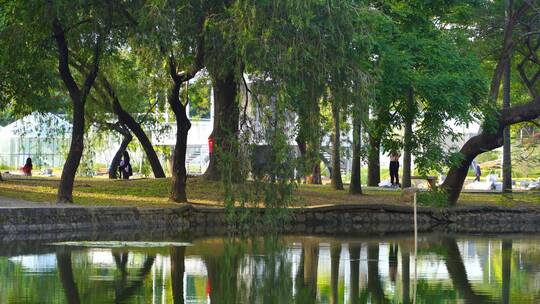 水倒影树木红衣女游客逛公园