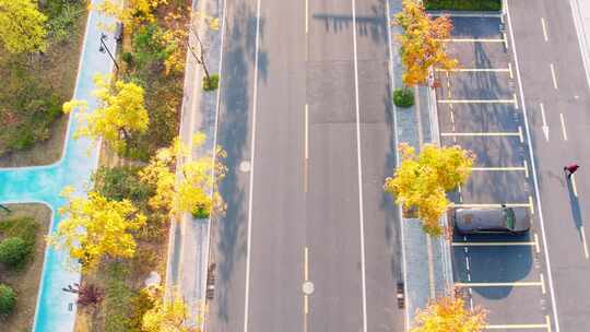 秋天城市道路秋色风景