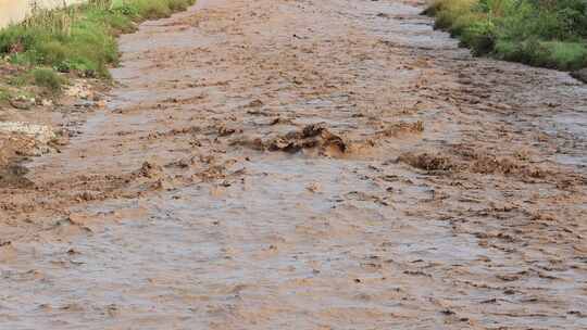 实拍暴雨后洪水 山洪  泥石流