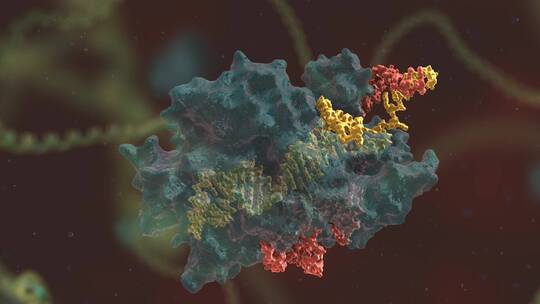 生物科学 基因编辑 DNA 基因工程 医学动画